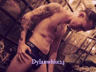 dylanwhite23 Super Webcam