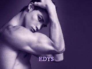 EDYS