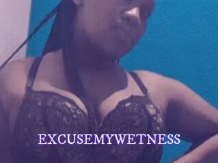 EXCUSEMYWETNESS