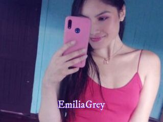 EmiliaGrey Super Webcam