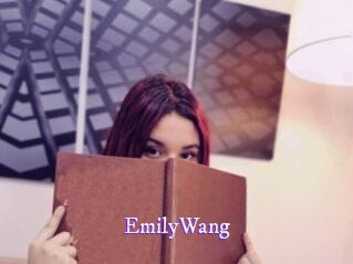 EmilyWang Super Webcam