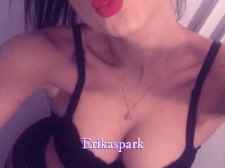 Erikaspark Super Webcam