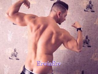 ErwinErv