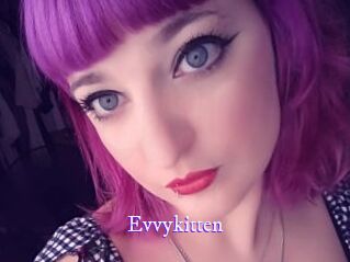 Evvykitten