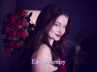 eadlincarnley Super Webcam