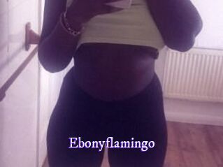 Ebony_flamingo