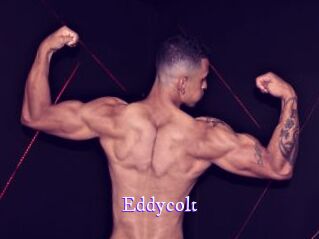 Eddycolt