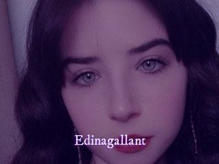 edinagallant Super Webcam