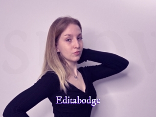 Editabodge