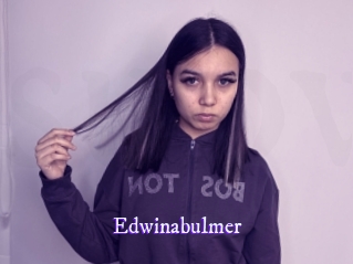 edwinabulmer Super Webcam