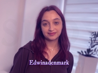 edwinadenmark Super Webcam