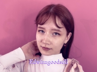 edwinagoodsell Super Webcam