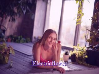 Electricflower