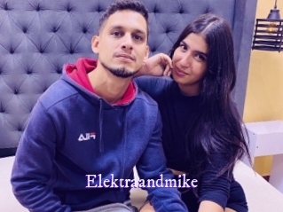Elektraandmike