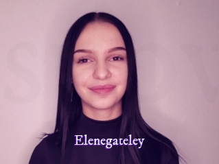 elenegateley Super Webcam