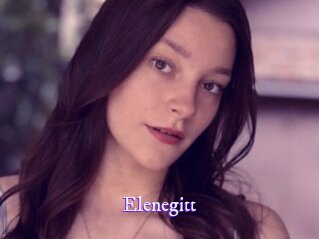 Elenegitt