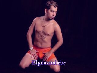 Elguazonbebe