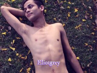 Eliotgrey