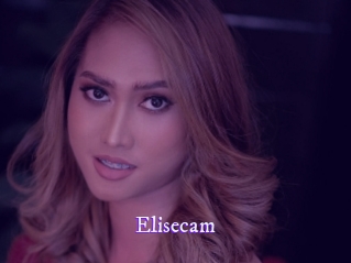Elisecam