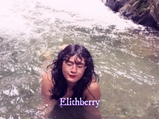 elithberry Super Webcam
