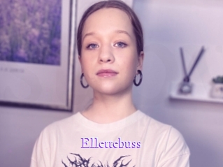 Ellettebuss