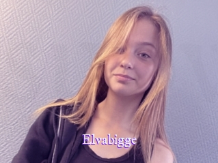 Elvabigge