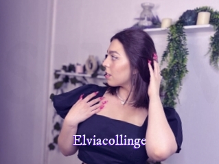 Elviacollinge