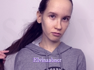 Elvinaabner