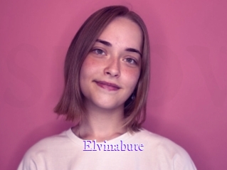 Elvinabute