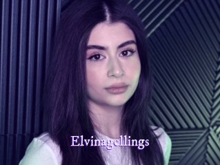 elvinagellings Super Webcam