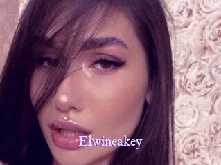 Elwineakey