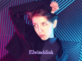 elwineblink Super Webcam