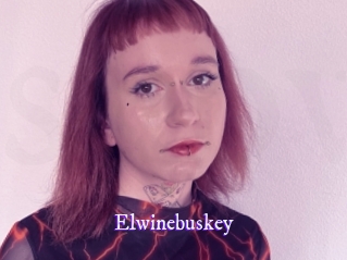 Elwinebuskey