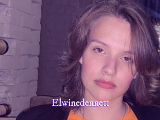 elwinedennett Super Webcam