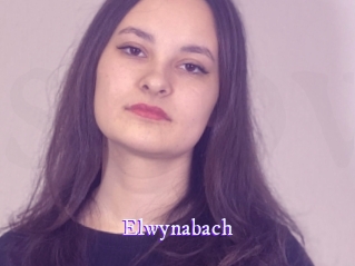 Elwynabach