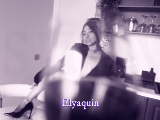 elyaquin Super Webcam