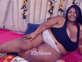 elybloom Super Webcam