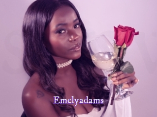 emelyadams Super Webcam
