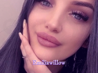 emiliawillow Super Webcam