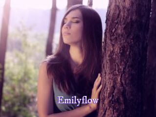Emilyflow