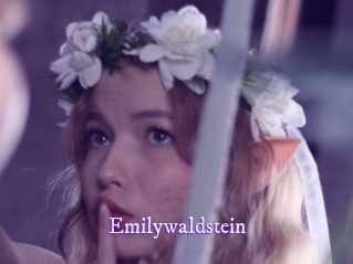 emilywaldstein Super Webcam
