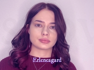 erleneagard Super Webcam