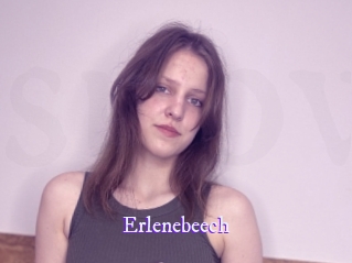 Erlenebeech