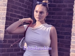 Erlenebrookins