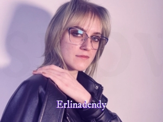 erlinadendy Super Webcam
