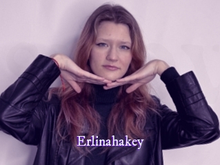 erlinahakey Super Webcam