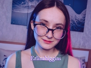 erlinahiggins Super Webcam
