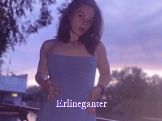 Erlineganter