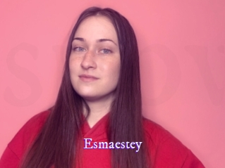 esmaestey Super Webcam