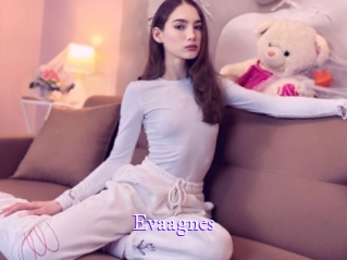 evaagnes Super Webcam